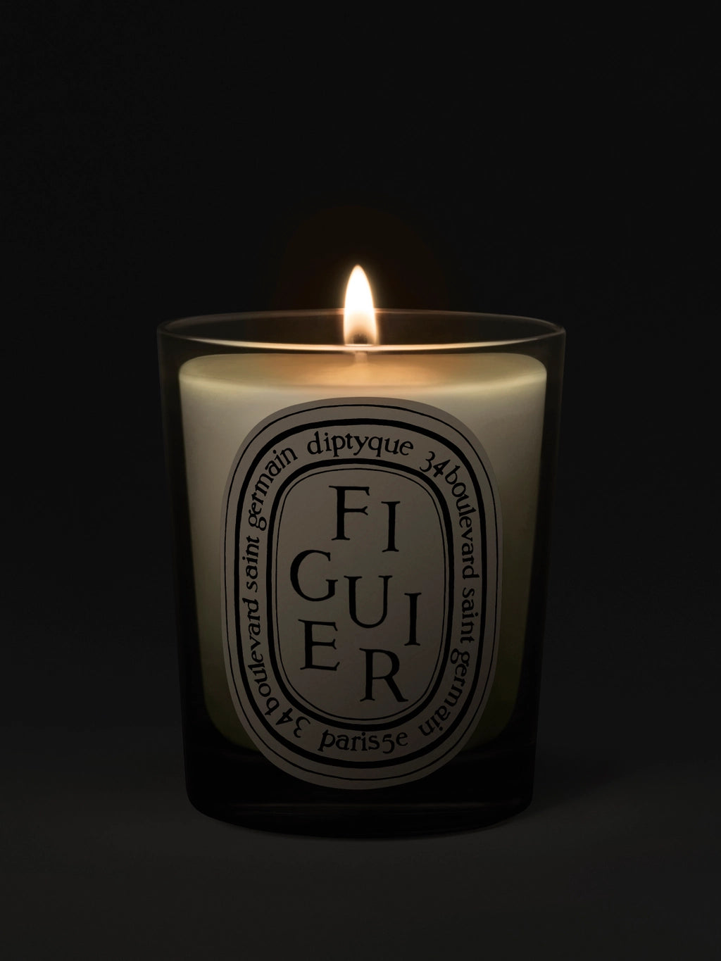 Figuier (Fig Tree) Classic Candle