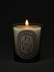 Figuier (Fig Tree) Classic Candle