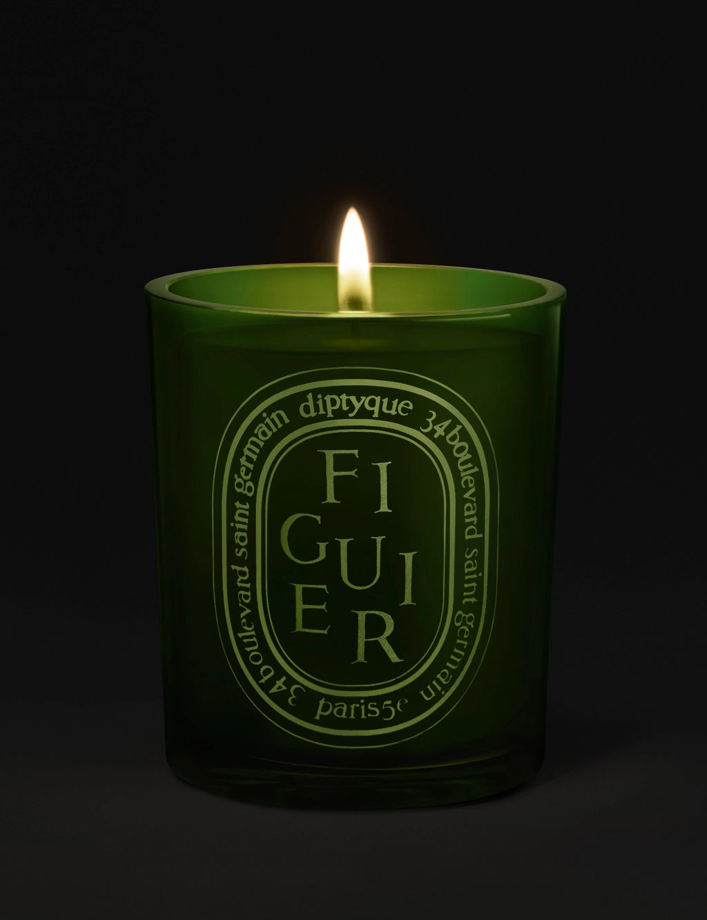 diptyque-figuier-fig-tree-candle-300g-fiv2-2.webp