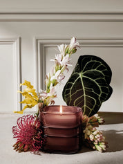 Premium Scented Candle - La Foret Reve