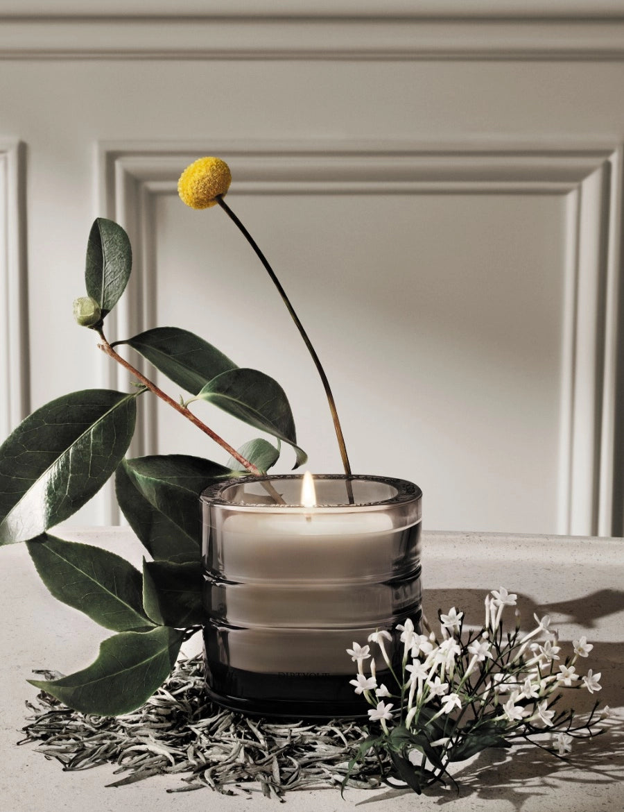 diptyque_atmosphere_la_vallee_du_temps_ingredients_2025x2700_72dpi.webp