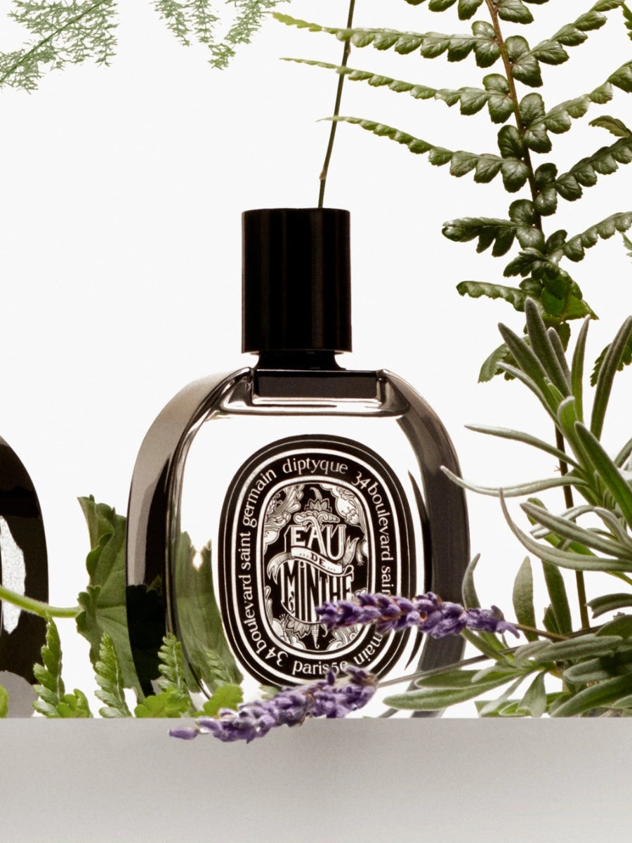 Dtq eau de minthe edp 75ml set