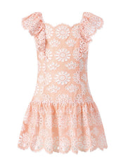 Harley embroidered mini dress