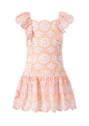 HARLEY EMBROIDERED MINI DRESS