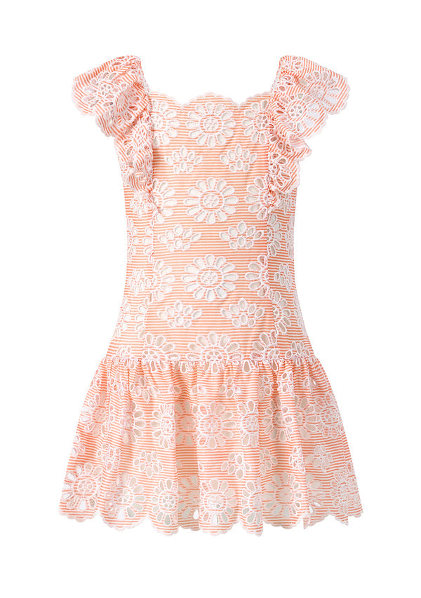 HARLEY EMBROIDERED MINI DRESS