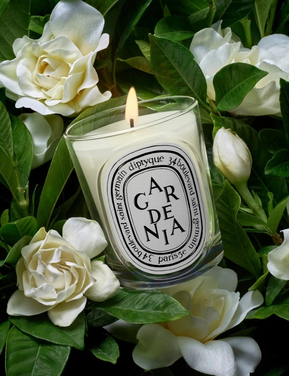 herbier_ctm_visuel_gardenia-190g_2026_rvb_bd_2025x2700px.webp