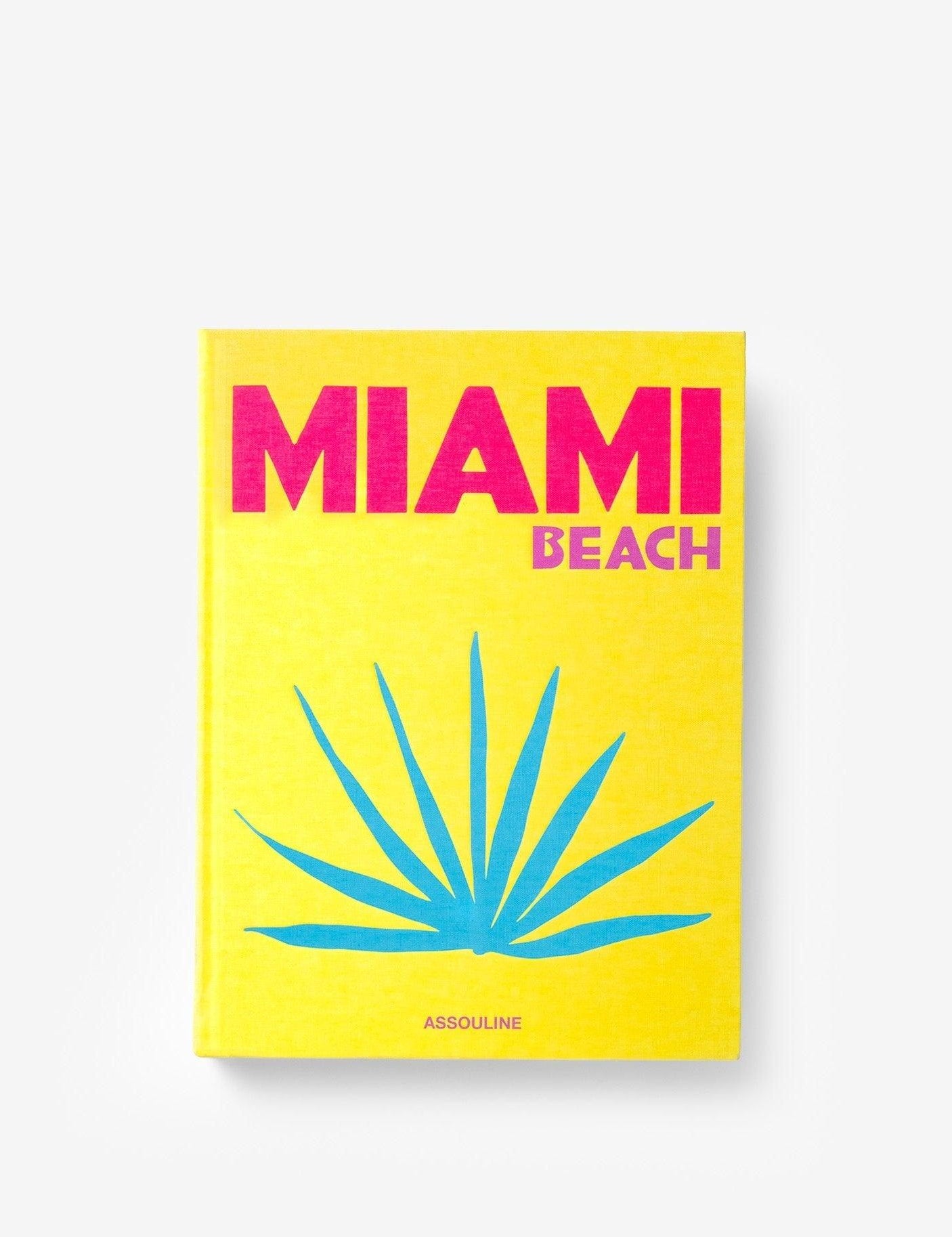 miami-beach-assouline-3.jpg