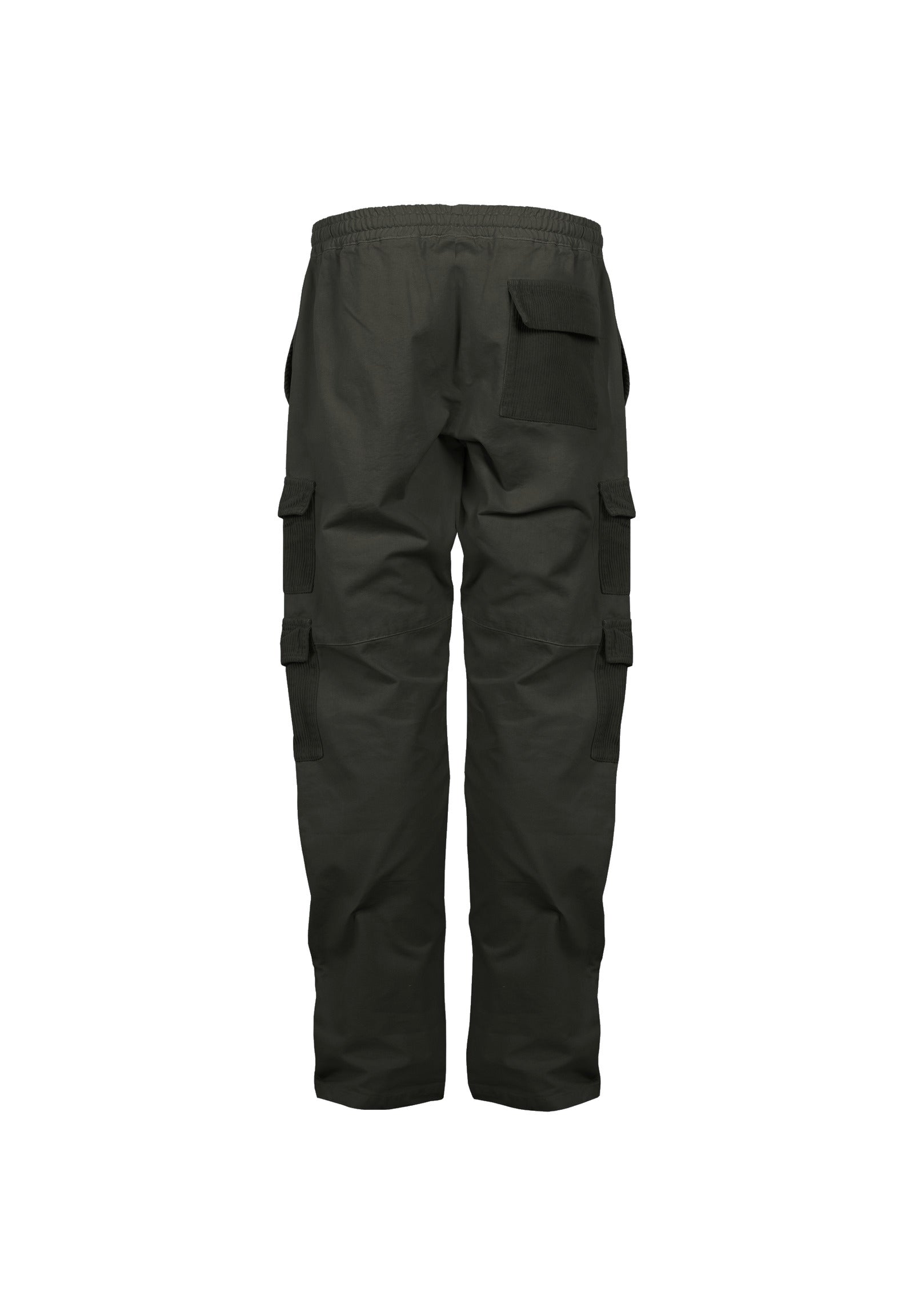 Mixed fabrics cargo pant