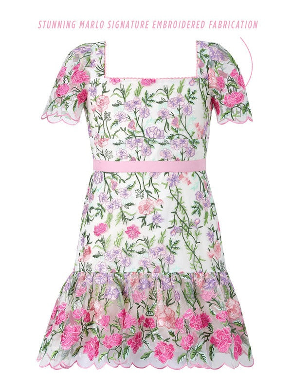 Clara embroidered mini dress