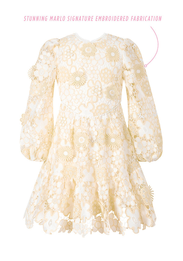 AMARA EMBROIDERED MINI DRESS