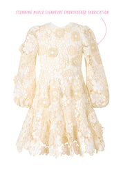 AMARA EMBROIDERED MINI DRESS