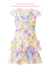 Amara embroidered dress