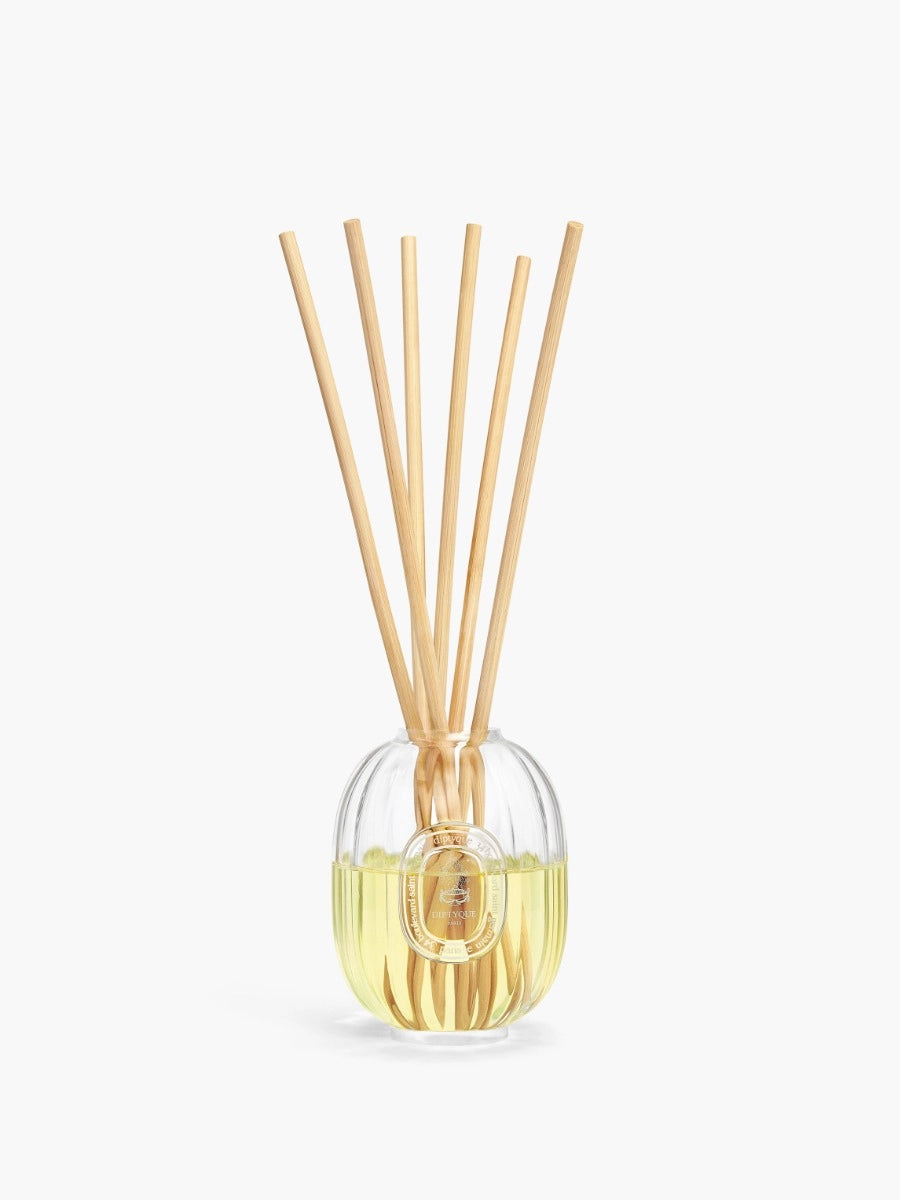 Dtq reed diff glass container 100ml