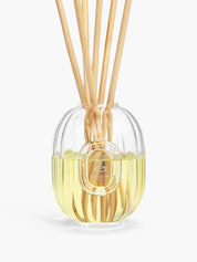 Dtq reed diff glass container 100ml
