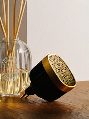 Dtq electric diffuser plug