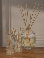Dtq reed diff glass container 200ml