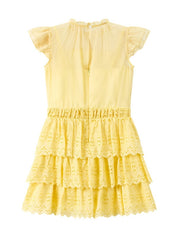 Rory embroidered mini dress