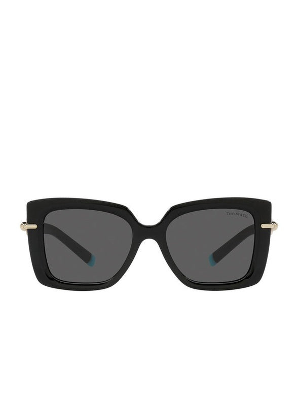 Tiffany tf4199 sunglasses