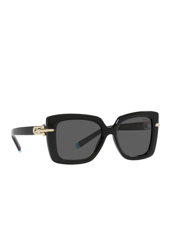 Tiffany tf4199 sunglasses