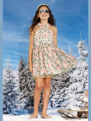 Willow embroidered dress