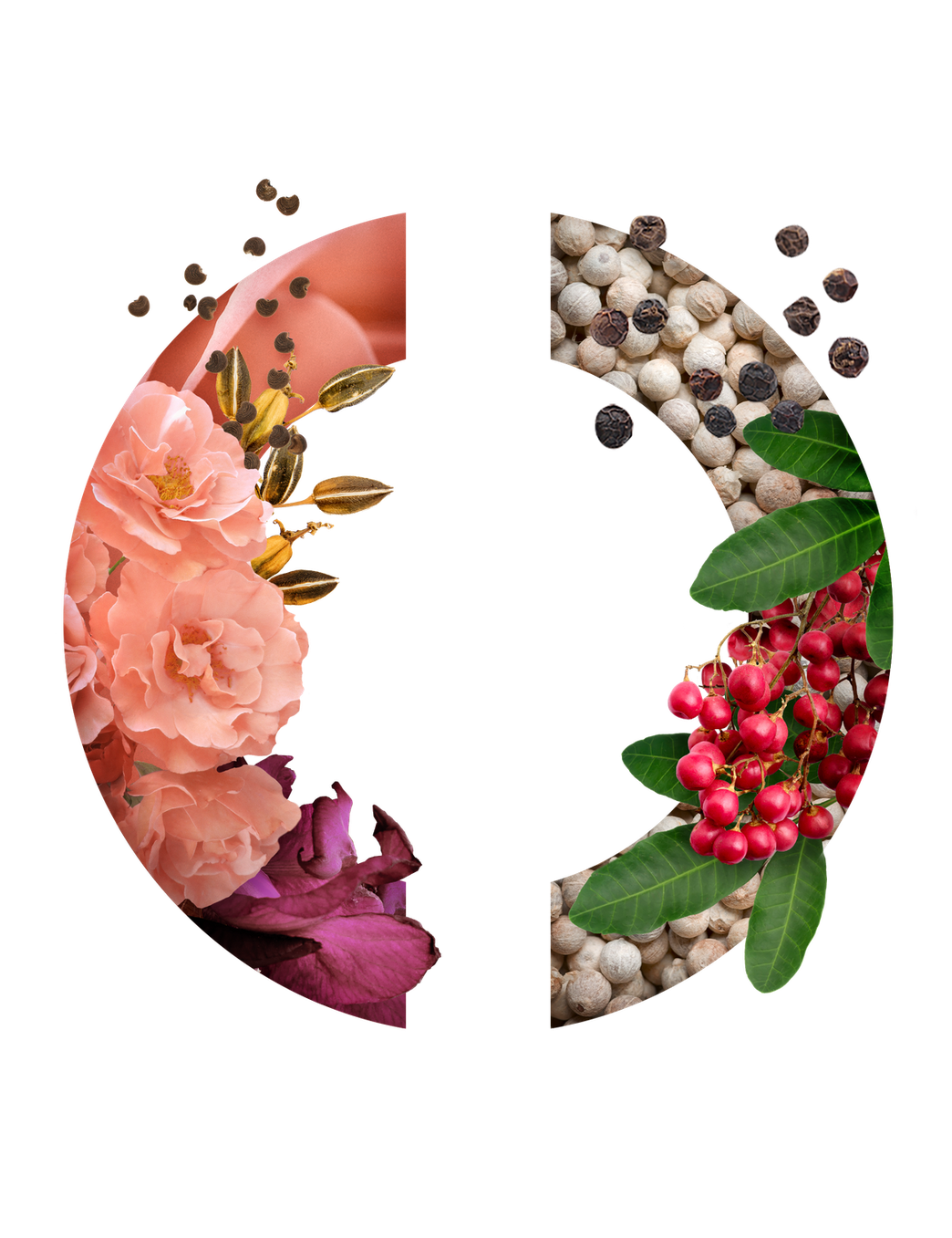 CARON_VISUEL_ROSEIVOIRE_2048x2048_RVB_1200x1200_crop_center_f30c6141-642b-453b-ad07-6bbf3daea902.png
